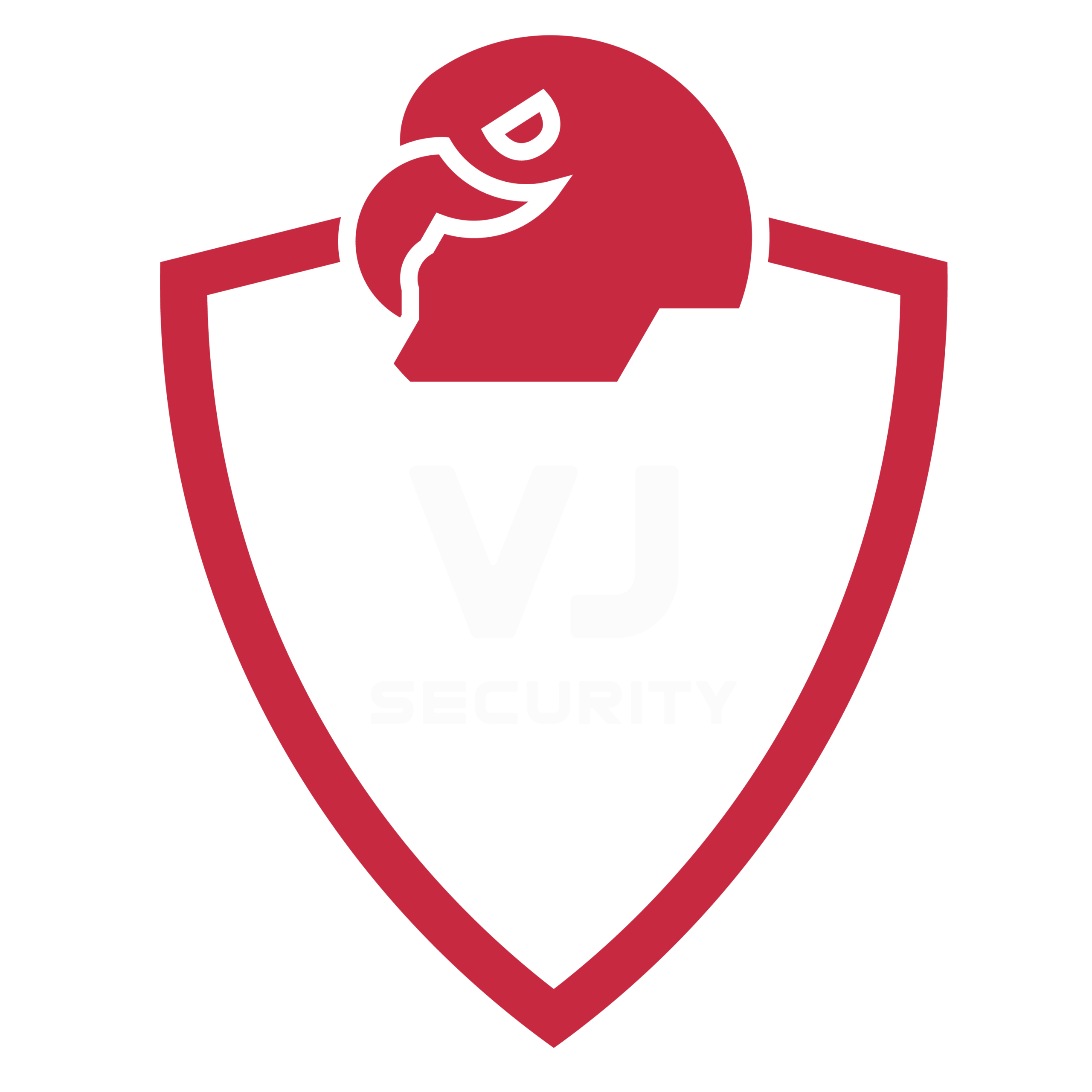 VJ Security